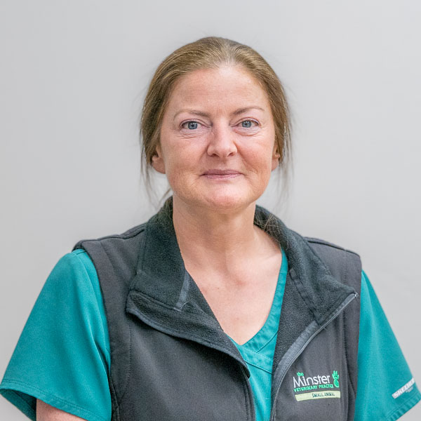 Claire Cliff - MVP (Web)