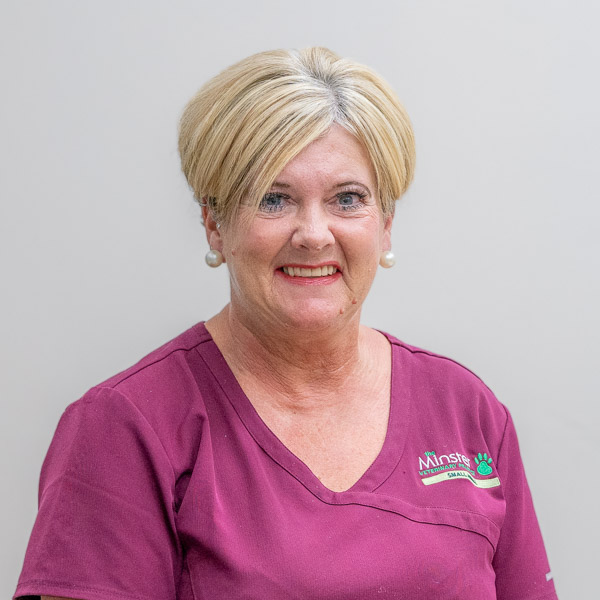 Lisa Lerigo - MVP (Web)