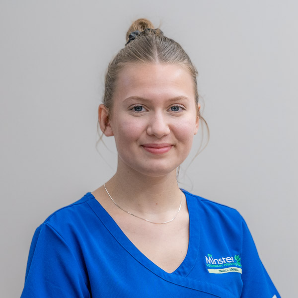 Mia Hall - MVP (Web)