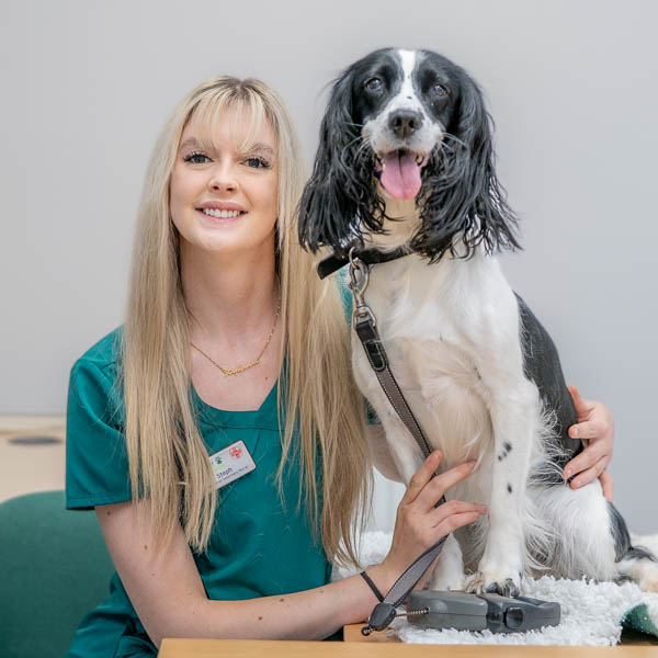 Steph Hubbard - MVP (Web)