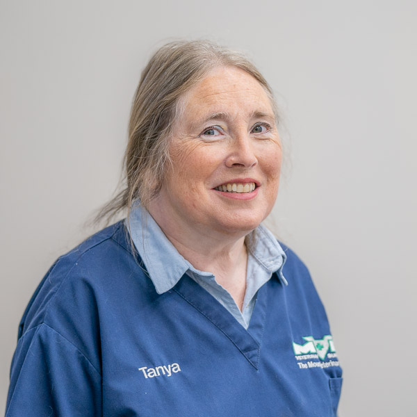 Tanya Fielding - MVP (Web)