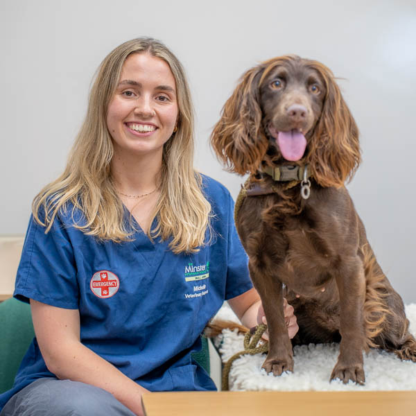 Michelle Thompson - MVP (Web)